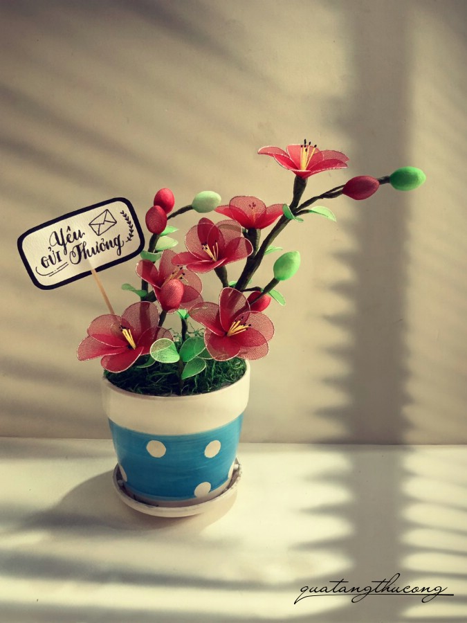 Chậu hoa voan mẫu 3